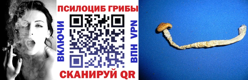 Галлюциногенные грибы мухоморы  цены наркотик  Электросталь 